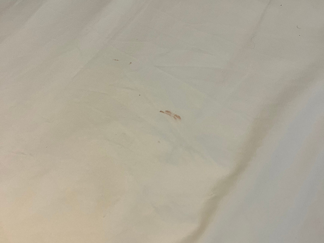 Travelodge by Wyndham Livingston主图