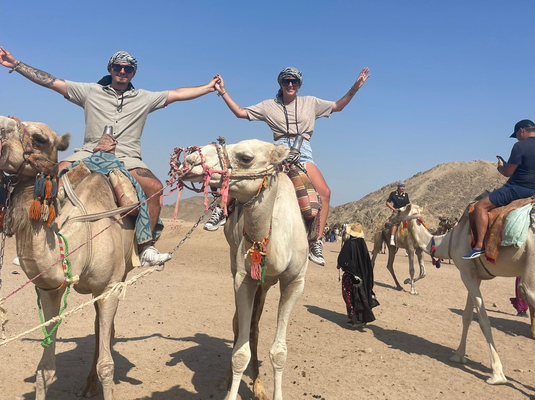 Desert Safari Hurgada景点图片