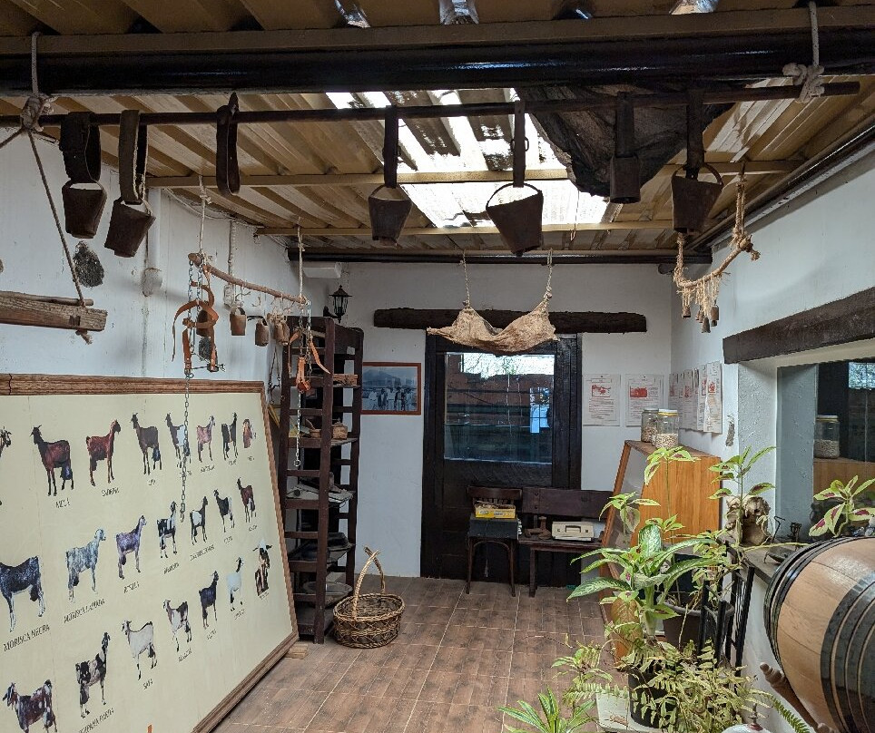 Finca Pepe景点图片