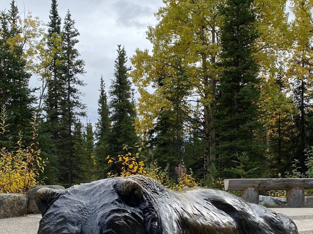 Denali Visitor Center景点图片