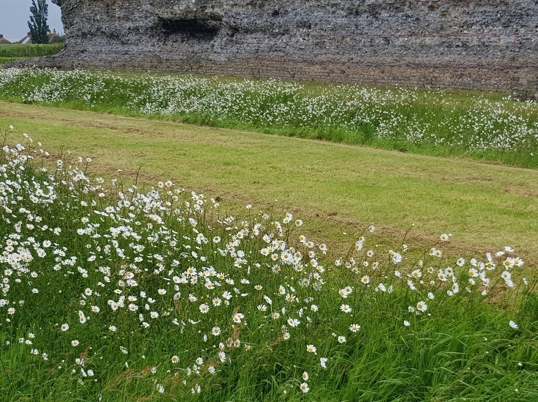 Richborough Roman Fort and Amphitheatre景点图片