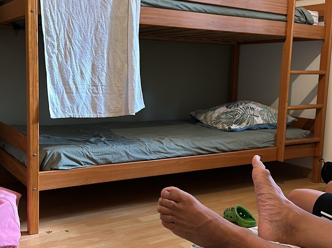 Autour du Hamac主图