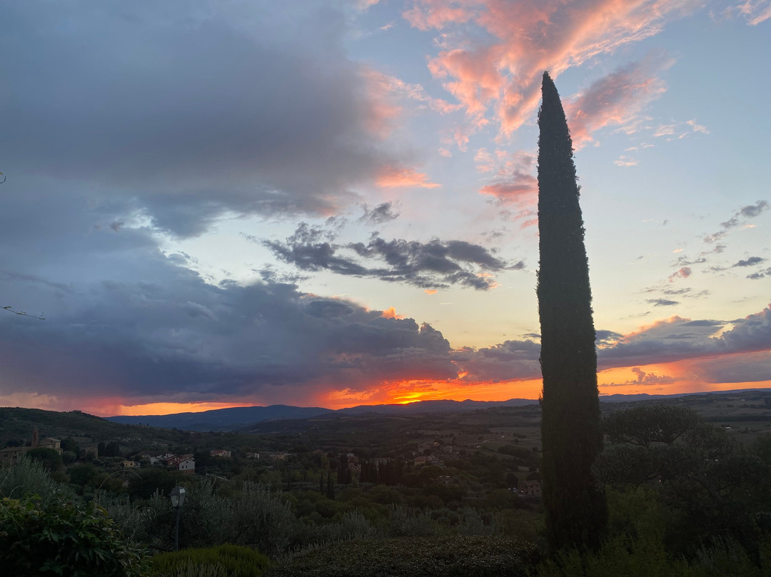 Il Galletto di Marzo主图