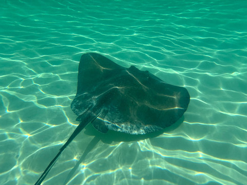 Sapphire Watersports-七哩滩必去景点