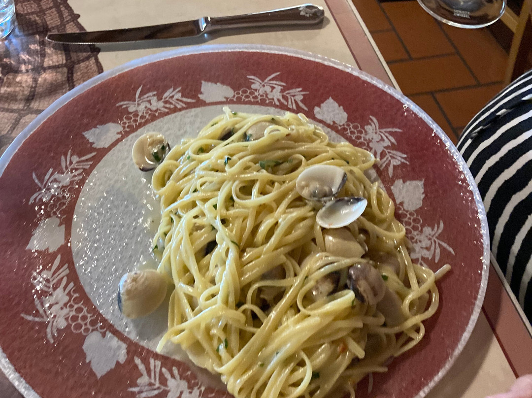 Agriturismo Bucine Basso主图
