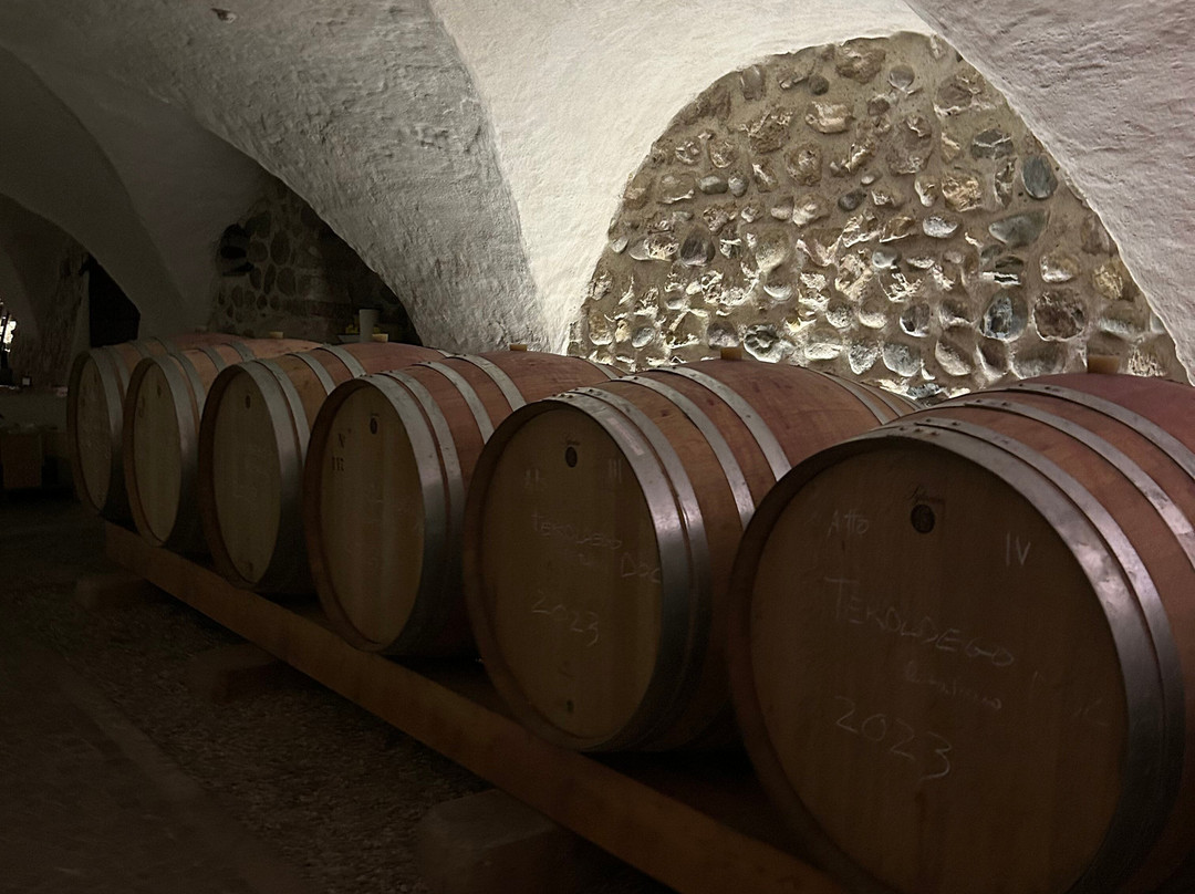 Cantina A. Martinelli 1860-Mezzocorona必去景点