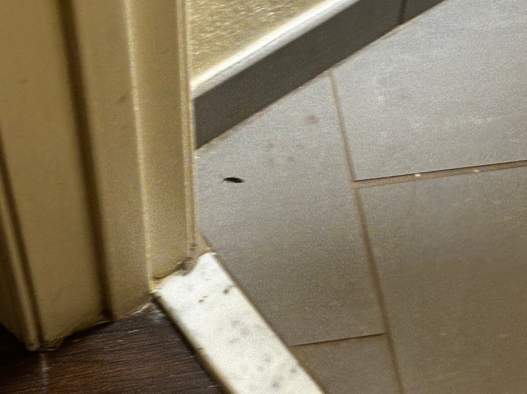 Candlewood Suites Washington-Fairfax by IHG主图