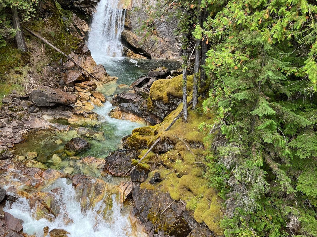 Crazy Creek Suspension Bridge景点图片