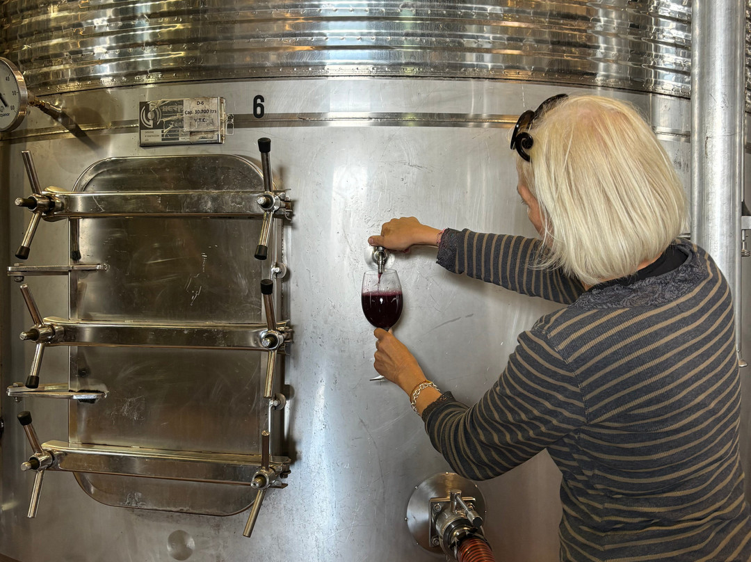 Bodegas Mas Que Vinos景点图片