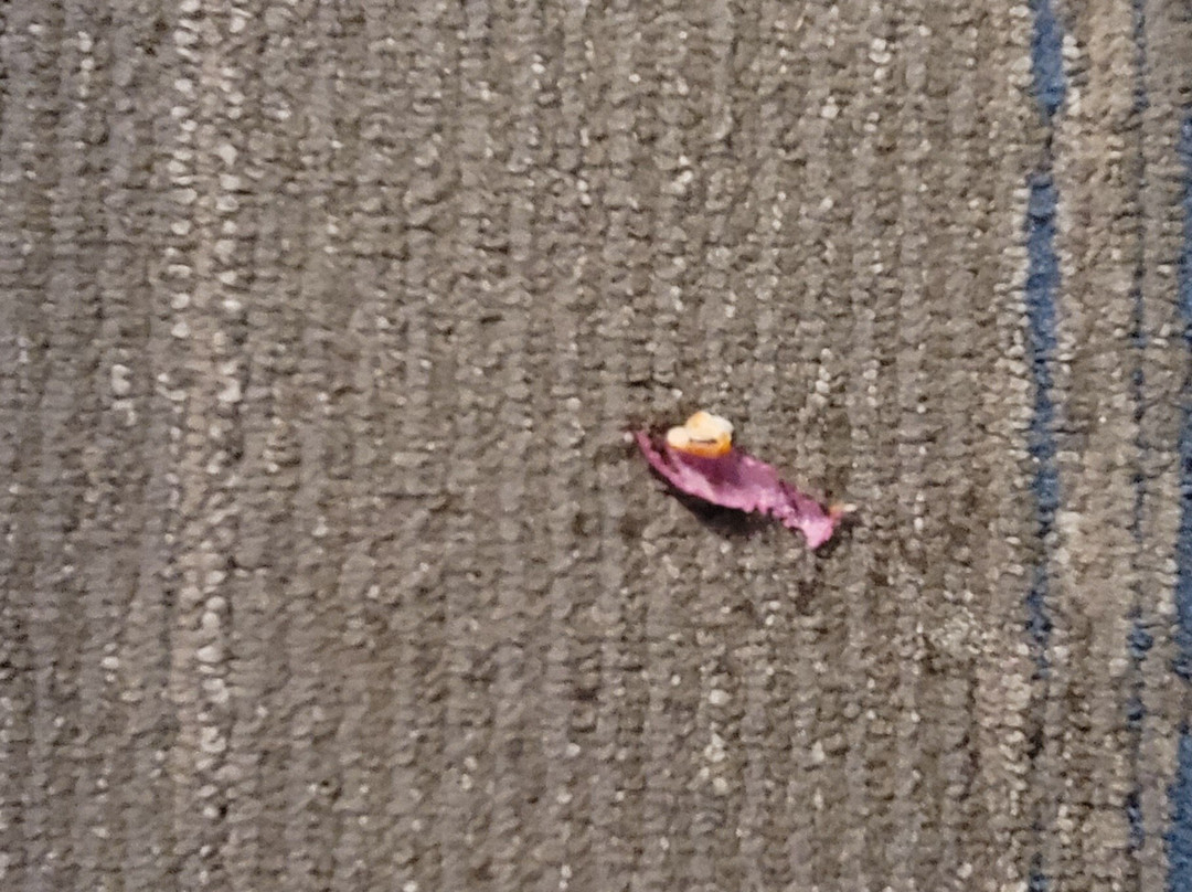 Hampton Inn & Suites Adrian主图