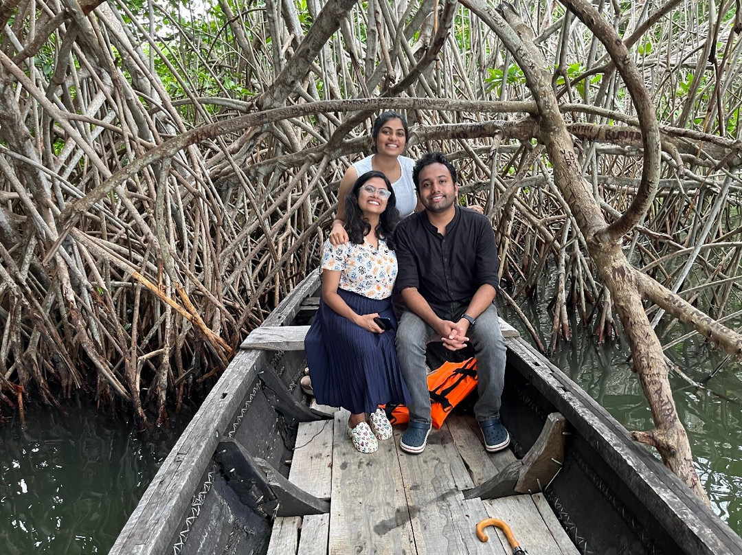 Munroe Island Backwaters Canoe Tours景点图片