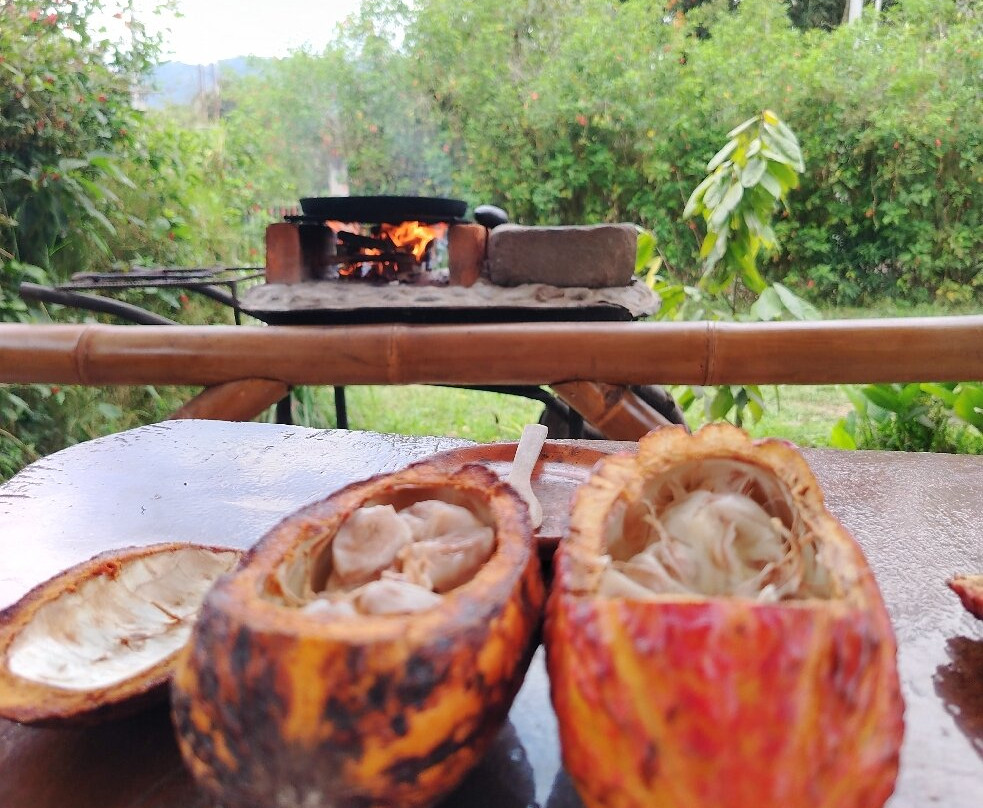 Mindo Maya Chocolate-明多必去景点