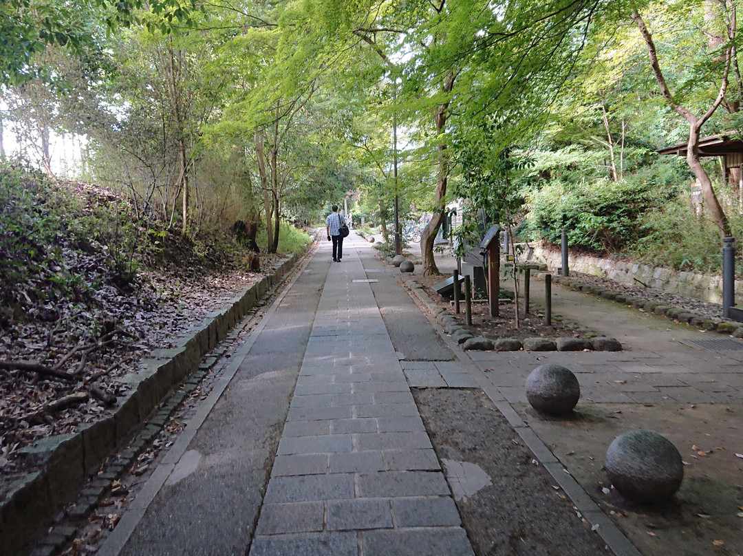 Sawarabi Street-宇治市必去景点
