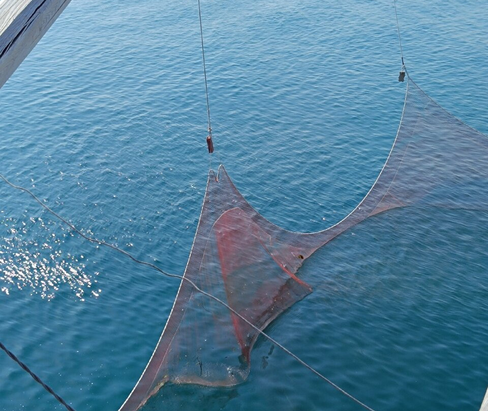 Trabucco Punta S. Croce-维耶斯泰必去景点