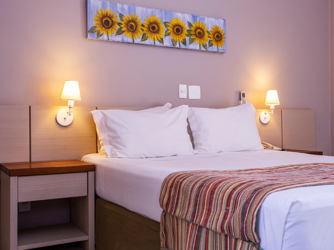 Ciribaí Praia Hotel主图