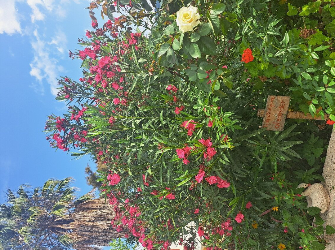 Therianos Family Farm景点图片