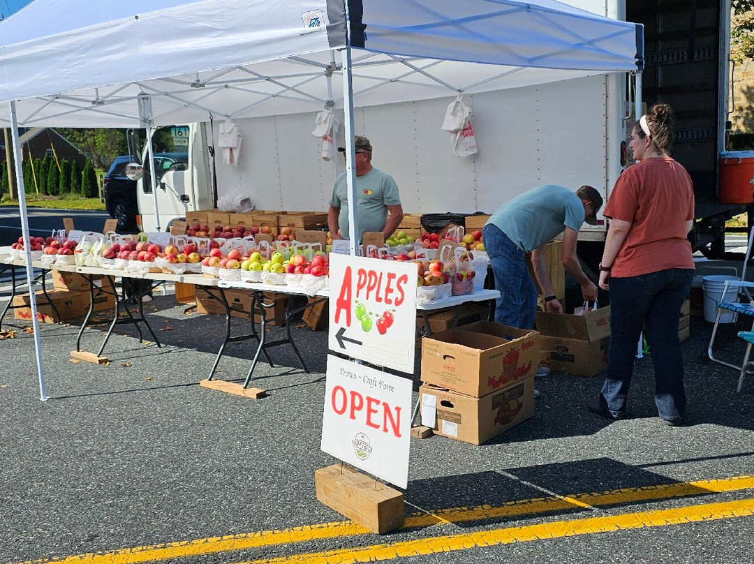 Darlington Apple Festival景点图片