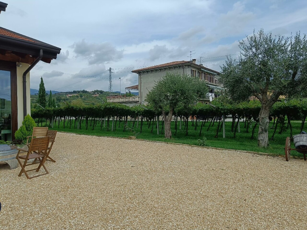 Agricola Pietro Zardini景点图片