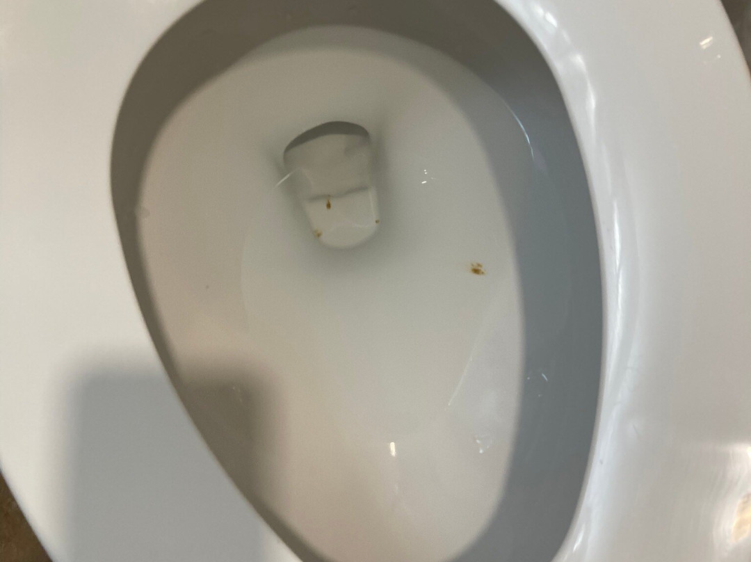 Comfort Inn University主图