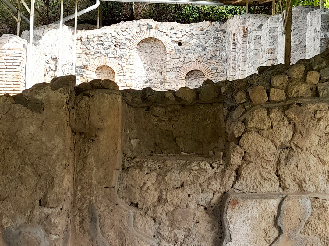 Area Archeologica di Poggio Moscini景点图片