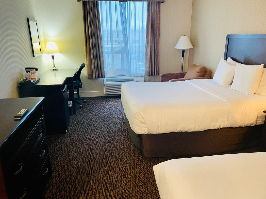 Comfort Inn & Suites Surrey主图