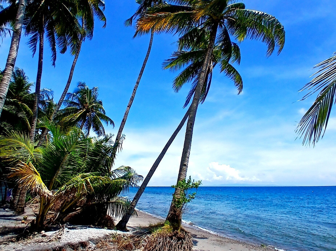 Dumaguete Taxi And Van Transport Services Plus Tours-杜马盖地必去景点