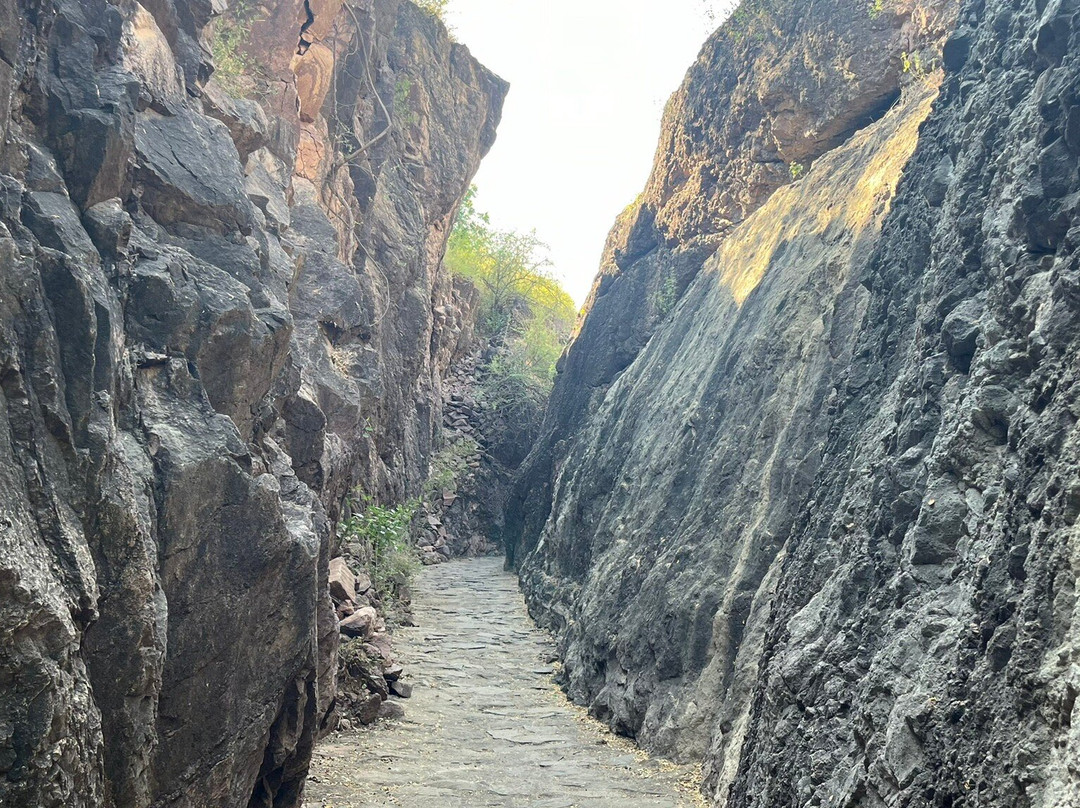 Rao Jodha Desert Rock Park景点图片