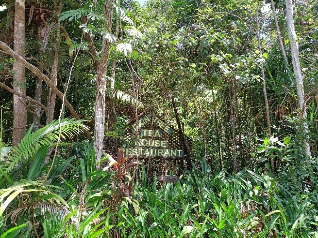 Daintree Teahouse Restaurant