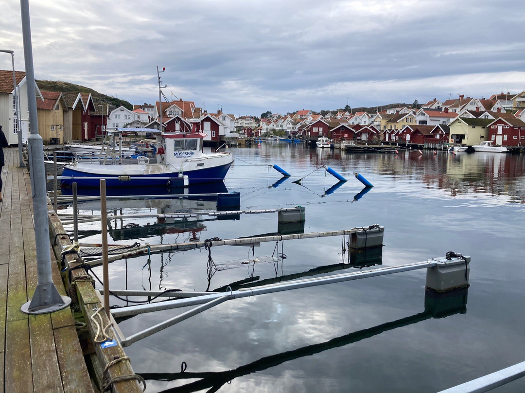 Grundsunds Fiskehamn & Gasthamn景点图片