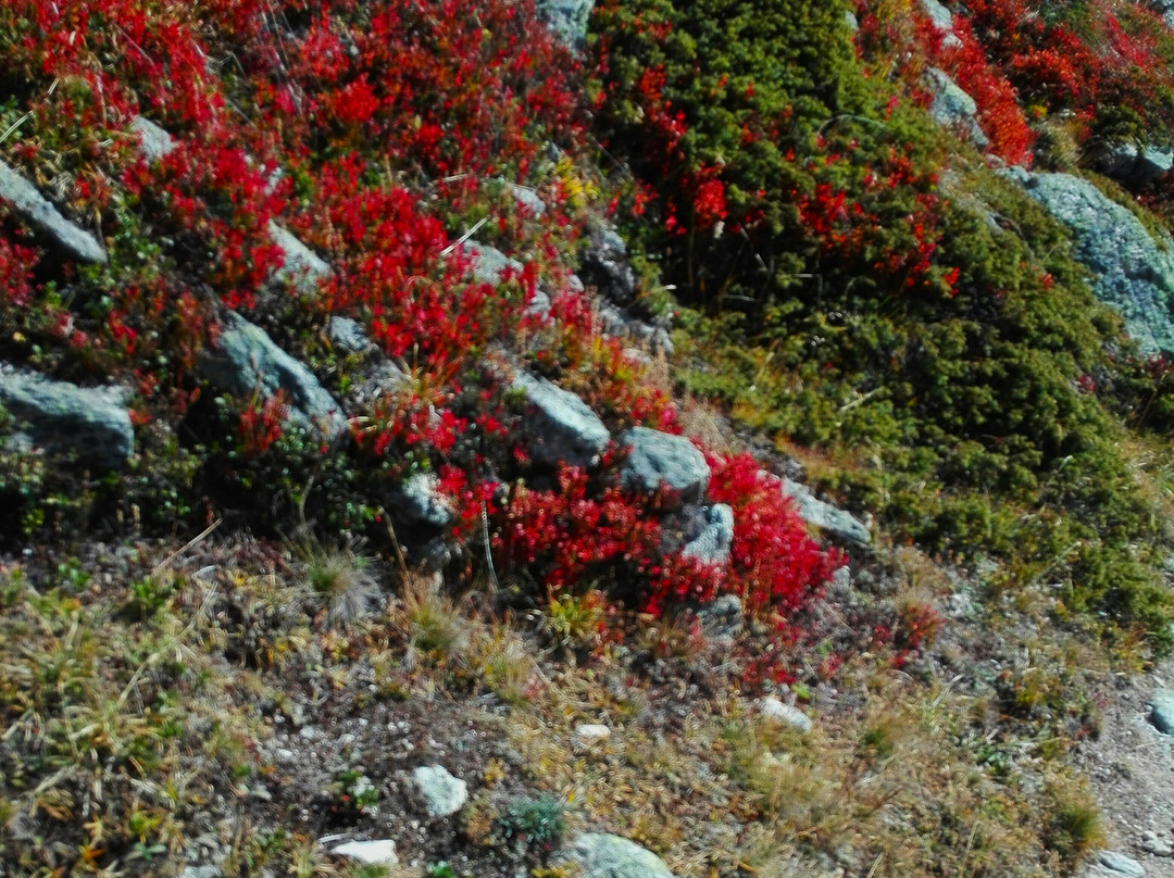 Engadine-圣莫里茨必去景点