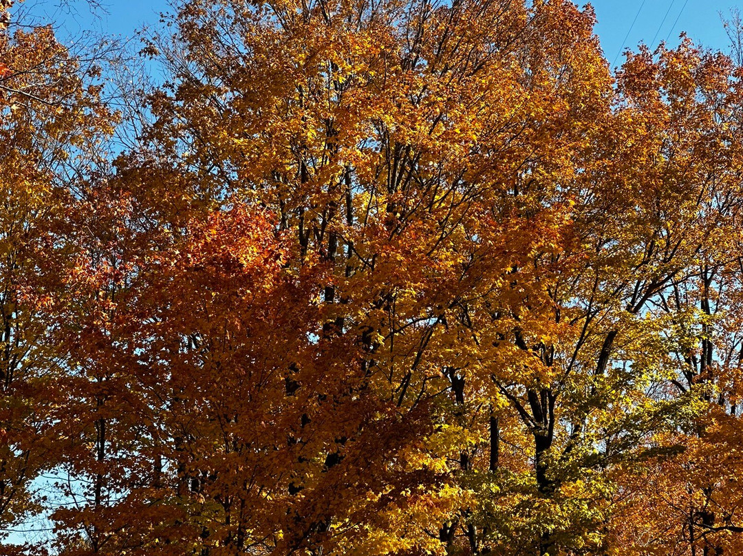 Rib Mountain State Park-Wausau必去景点