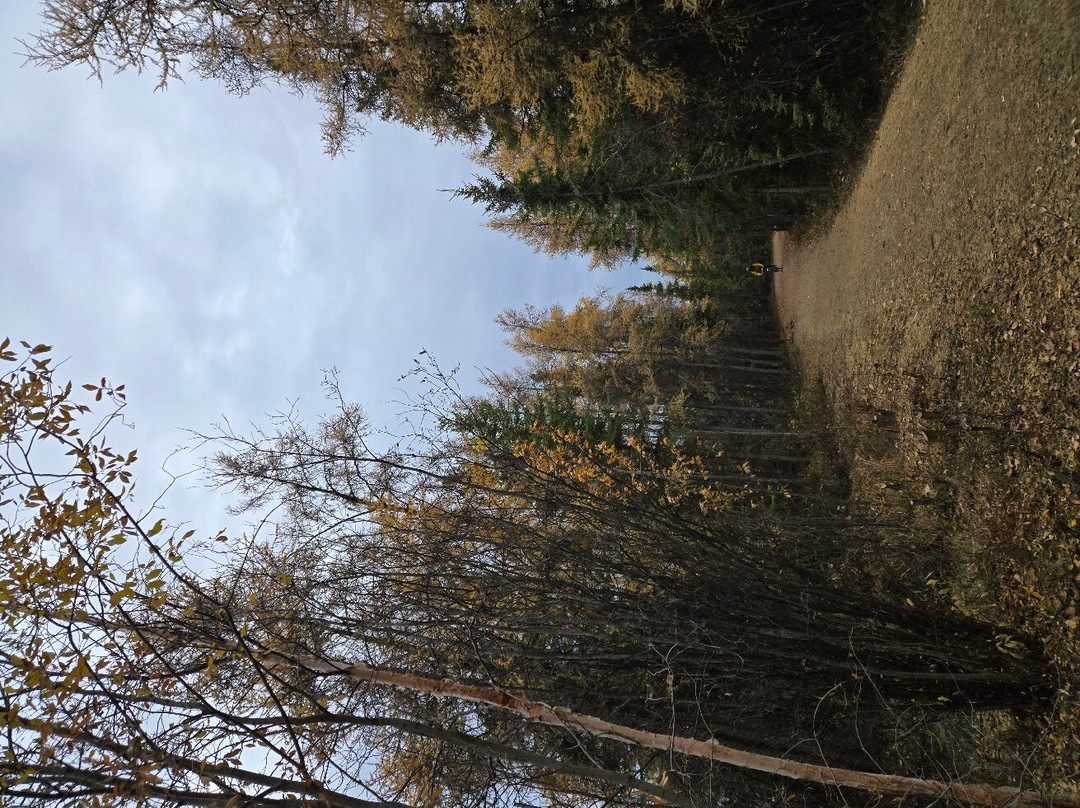 Niven Lake Trail-黄刀镇必去景点