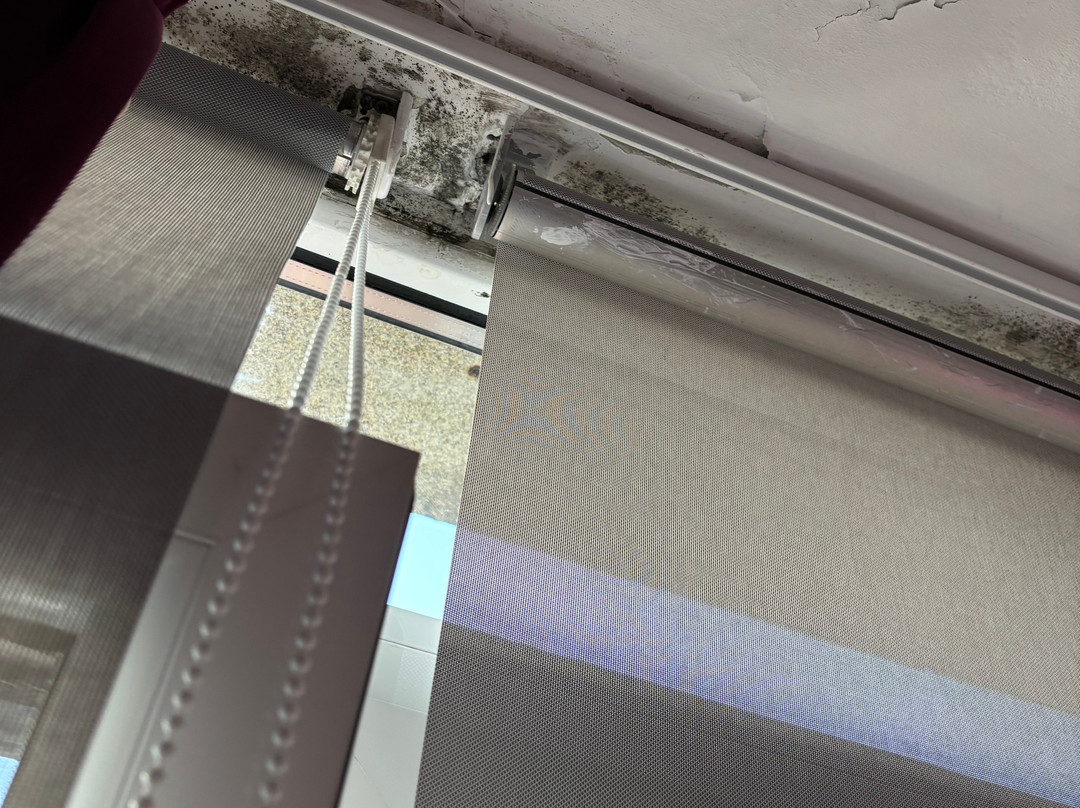 Pension Pardellas主图