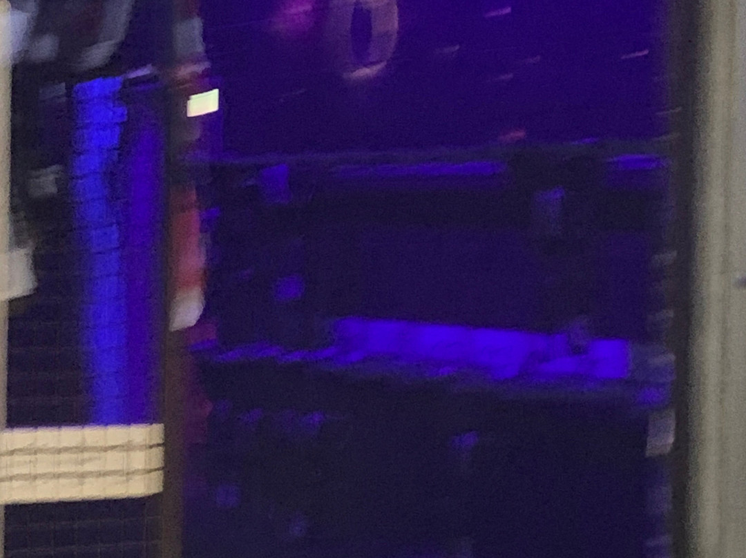 LaserZone Lasertag Bielefeld-比勒费尔德必去景点