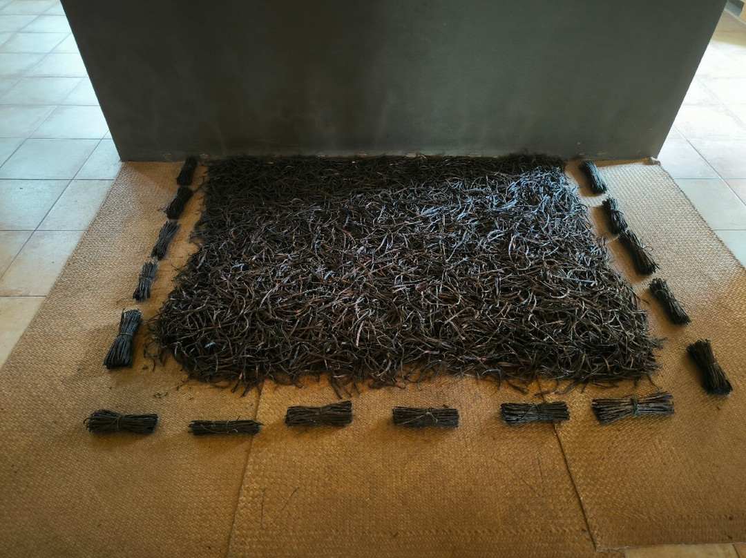 Plantation Vanille Rouloff景点图片