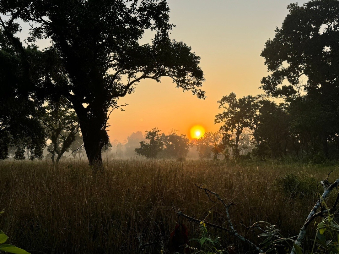 Hotel Rhino Land主图