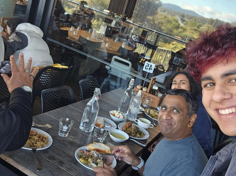 Tino Pai Tours-汉密尔顿必去景点