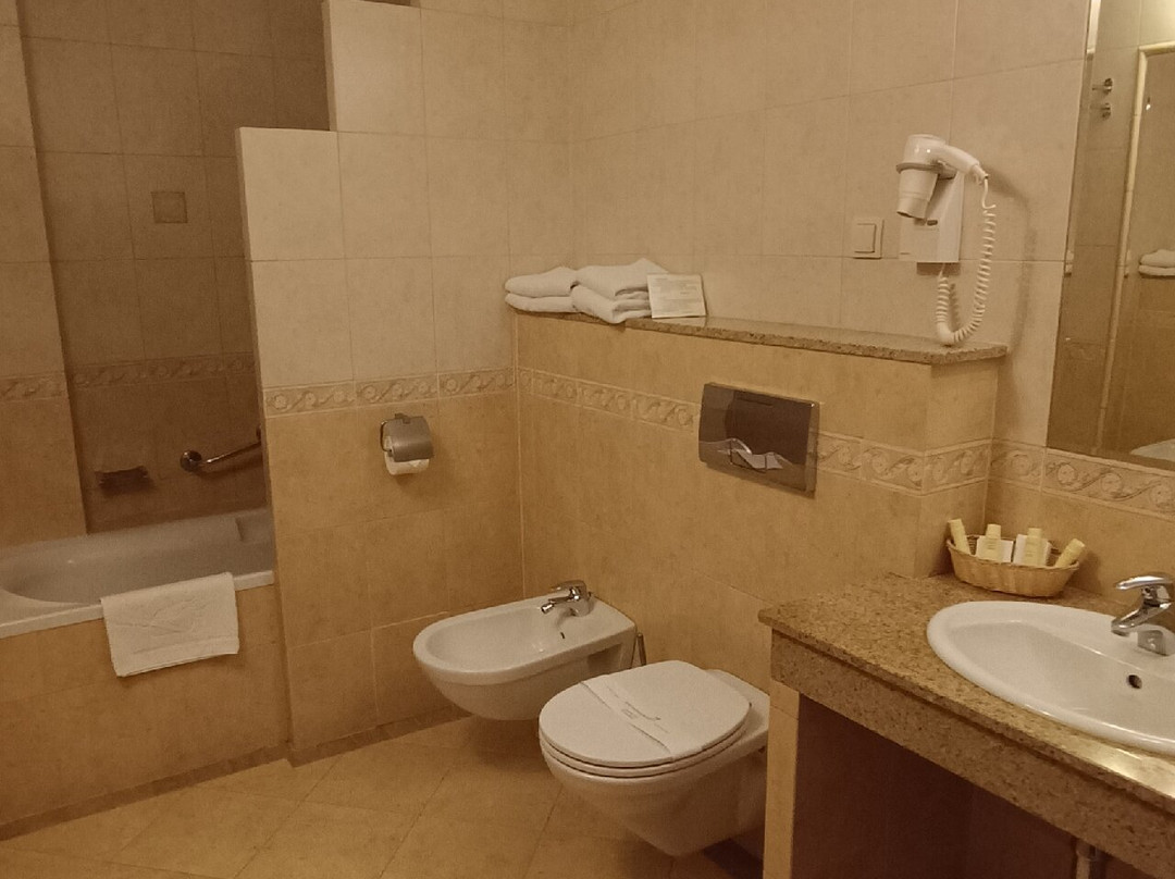 Jawor Spa Hotel主图
