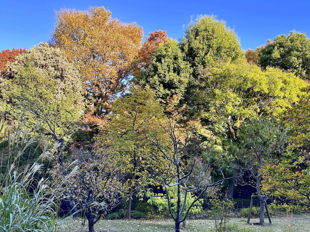 Tonogayato Garden-国分寺市必去景点