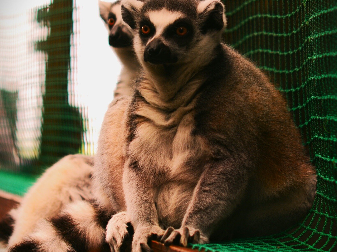 Terrazoo Rheinberg景点图片