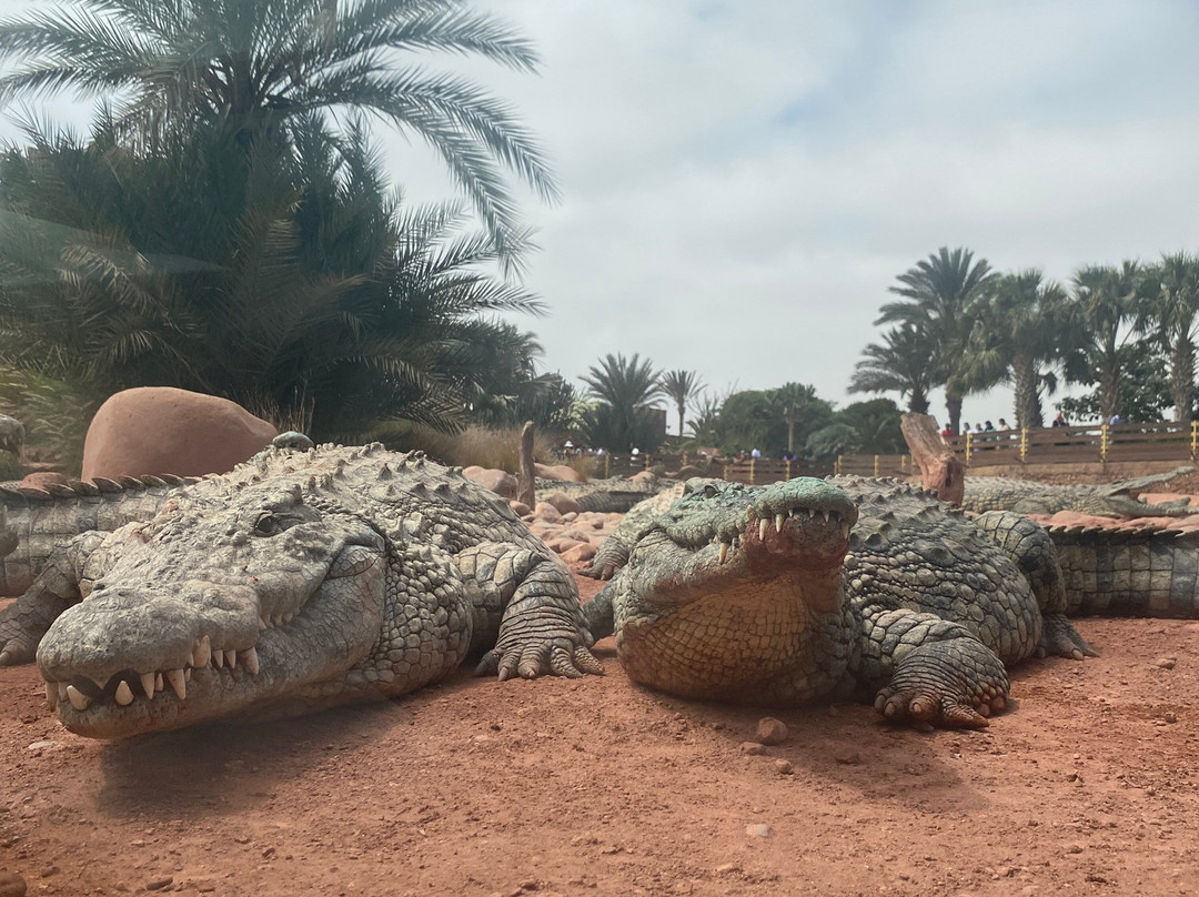 Agadir Atlantic Excursion-阿加迪尔必去景点