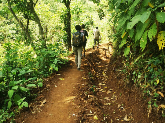 Matongoro Tours Adventure-莫西必去景点