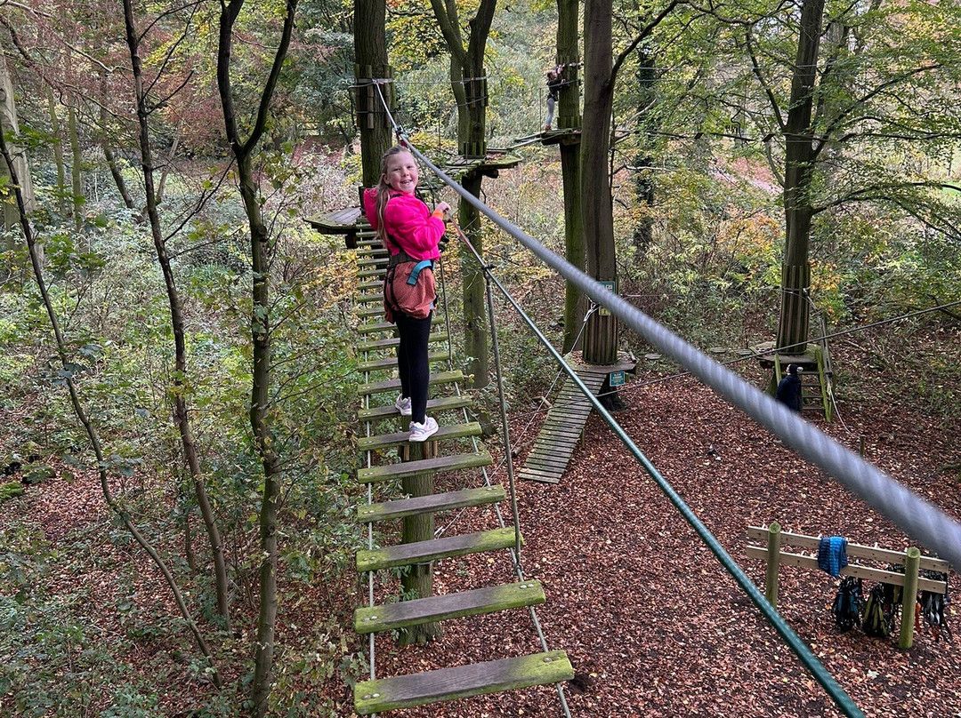 Go Ape Normanby Hall景点图片