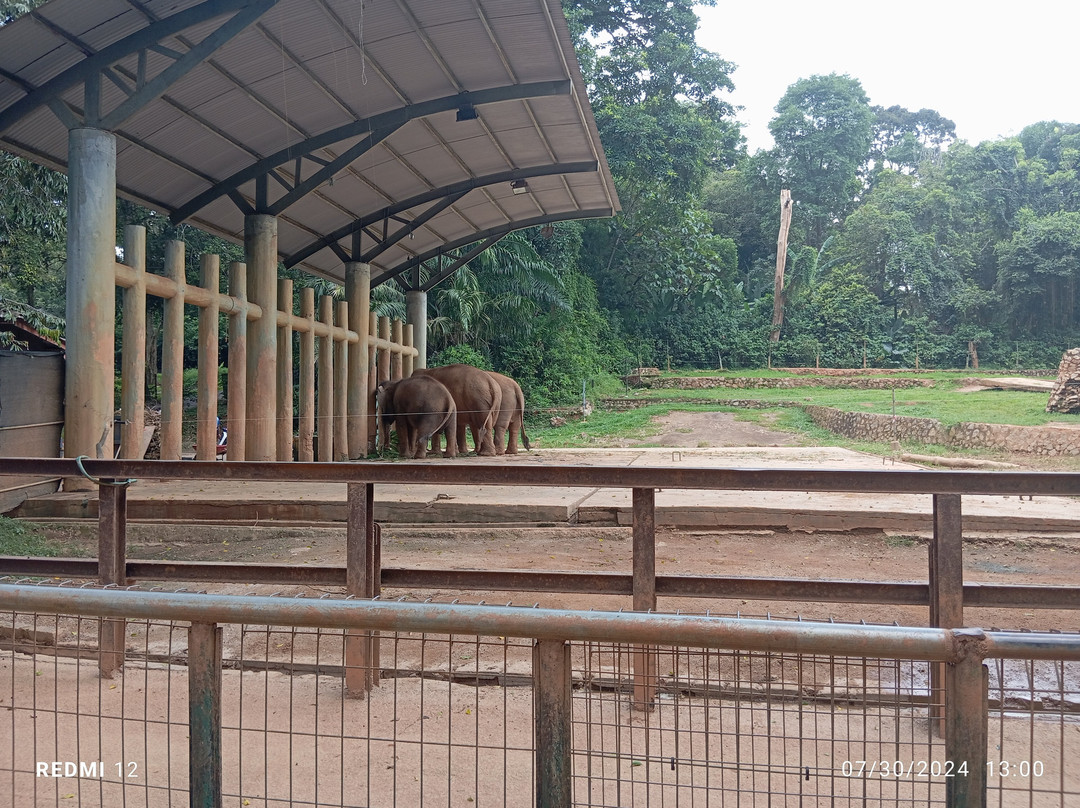 Zoo Melaka-爱极乐必去景点