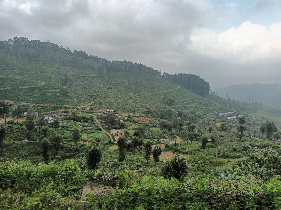 Sri-tours景点图片