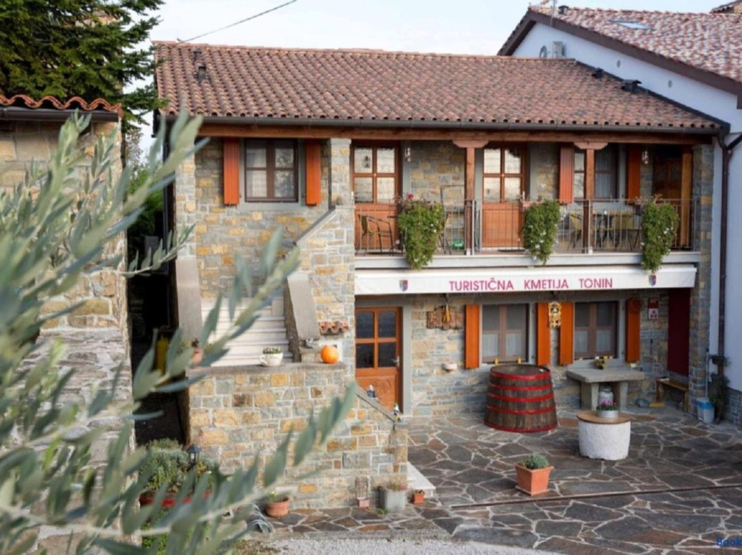 Tourist Farm Tonin