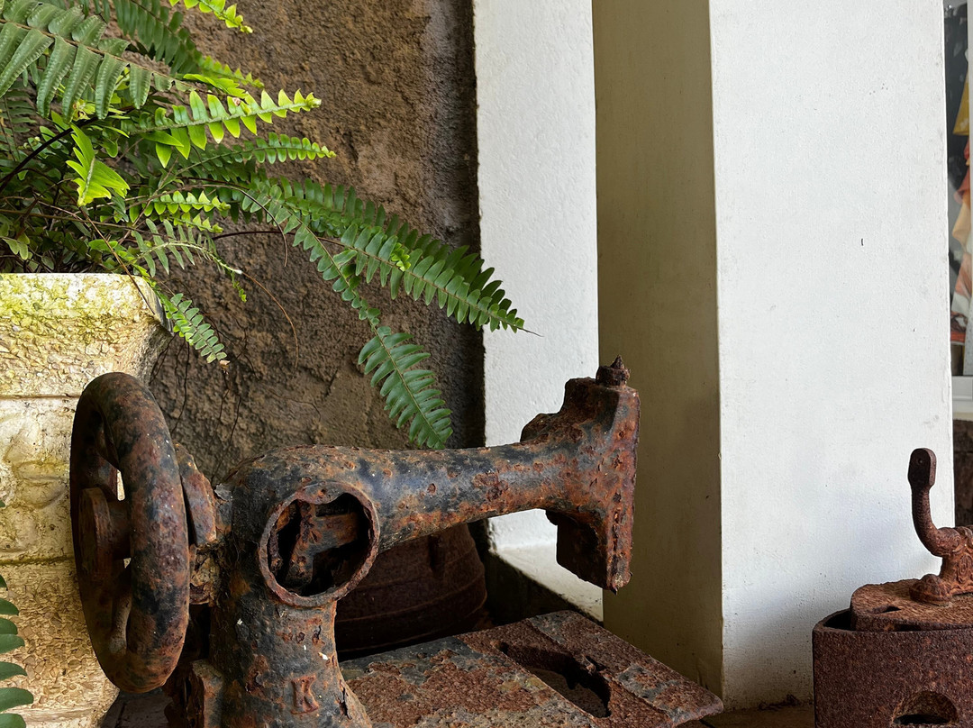 Quinta da Montanha Hotel主图