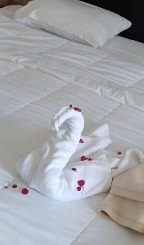 伊波罗之星索拉利亚酒店主图