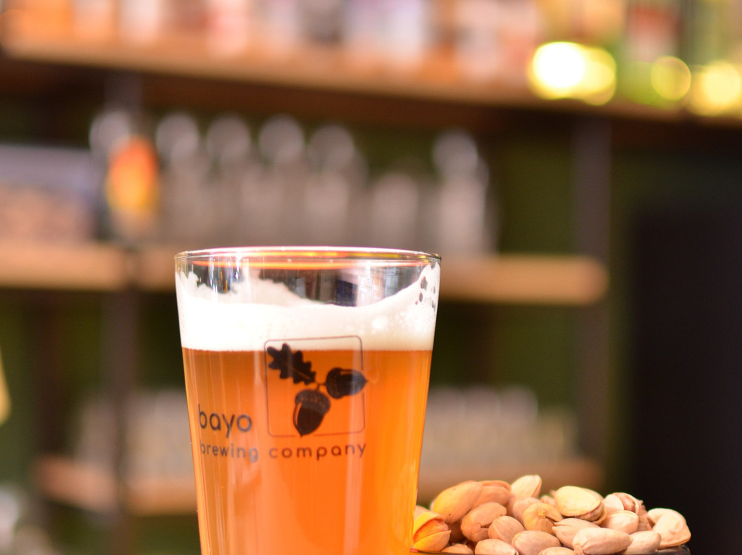 Foxxy Bar-第比利斯必去景点