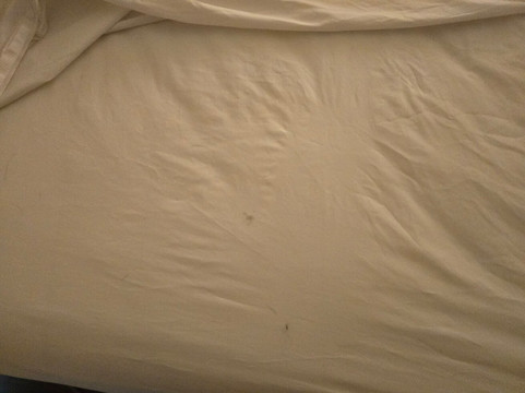 伊丽莎白敦温德姆速8酒店主图